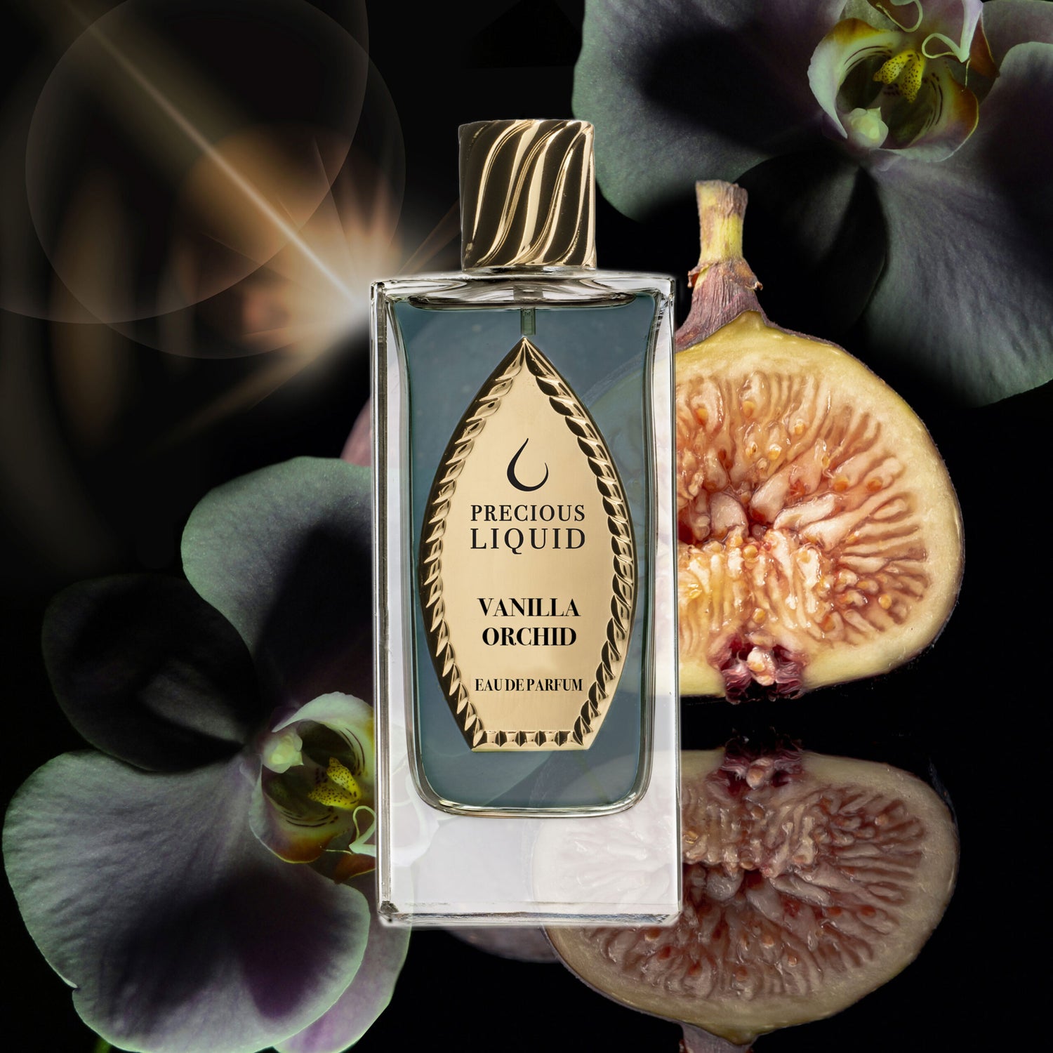 VANILLA ORCHID