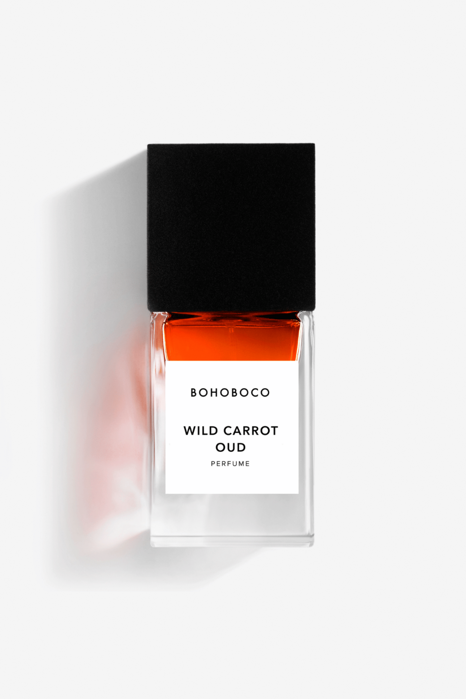 WILD CARROT • OUD